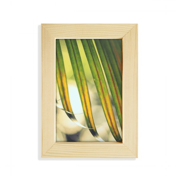 Sun Picture Nature Desktop Display Photo Frame Picture Art Painting 5x7 inch