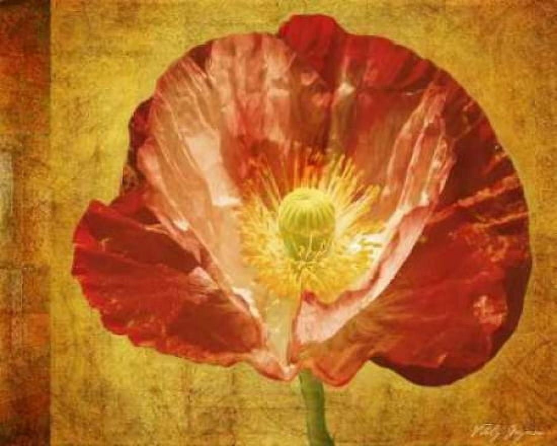 Sun Poppy II Canvas Art - Vitaly Geyman (24 x 30)