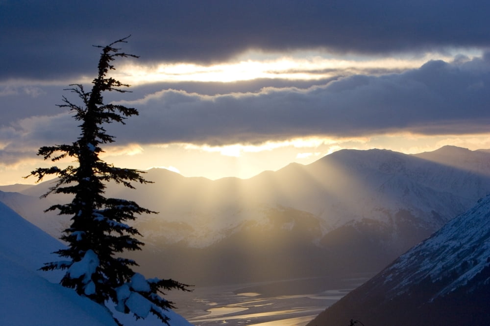 Sun Rays Shinning Through Clouds At Sunset Along Turnagain Arm W A Spruce Tree In The Foreground Chugach National Forest Alaska Canvas Art - Doug Demarest  Design Pics (34 x 22)