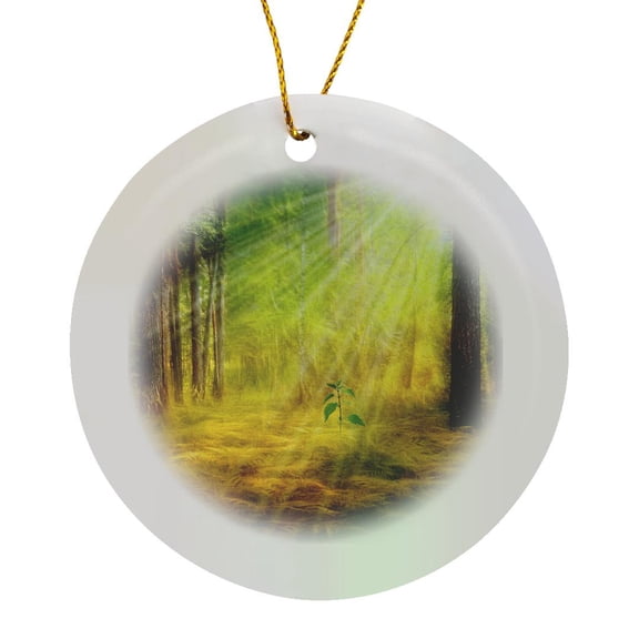 3drose, Sun Rays Through the Forest Trees Birth a Sapling for Earth Day, Circle Porcelain Ornament