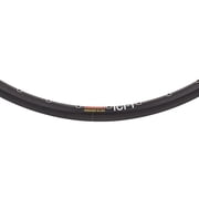 Sun Rim 24X1-3/8 Icione 36 Hole Black 520Iso