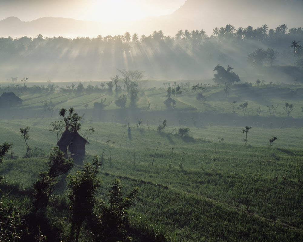 Sun Rising Over Rice Paddies Canvas Art - Joe Beynon Design Pics (17 x 13)