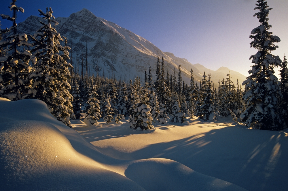 Sun Setting Behind Trees And Mountain Boom Lake Banff National Park Alberta Canvas Art - Mike Grandmaison Design Pics (34 x 22)