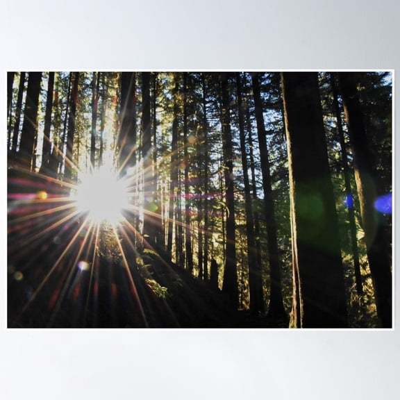 Sun Shining Through Poster Wall Art, Modern Wall Decor, 8x12 UNFRAMED