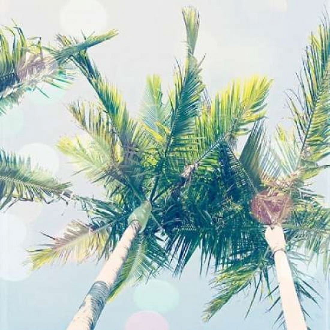Sun Speckled Palm Trees Canvas Art - Susannah Tucker Photography (24 x 24)