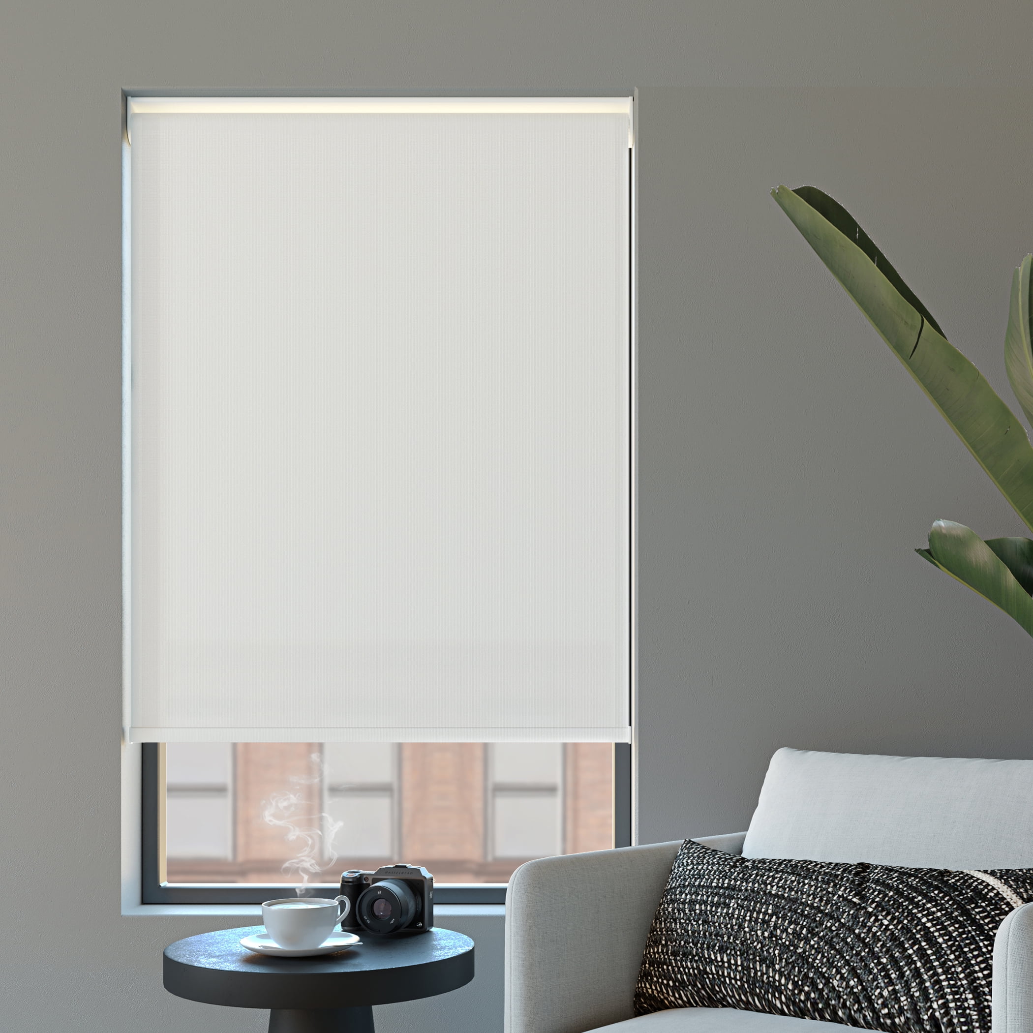 Sun Zero Daybreak Morris Light Filtering Cordless Roller Shade, 45"x72", White
