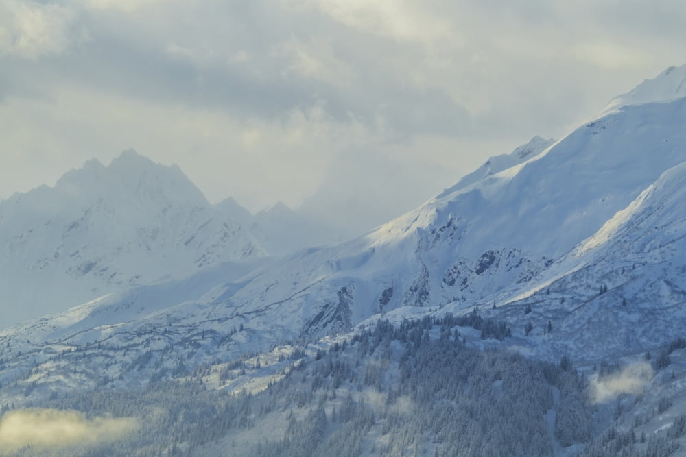 Sun breaks through as fresh snow coats the trees and mountains around Valdez Alaska United States of America Canvas Art - Zachary Sheldon Design Pics (19 x 12)