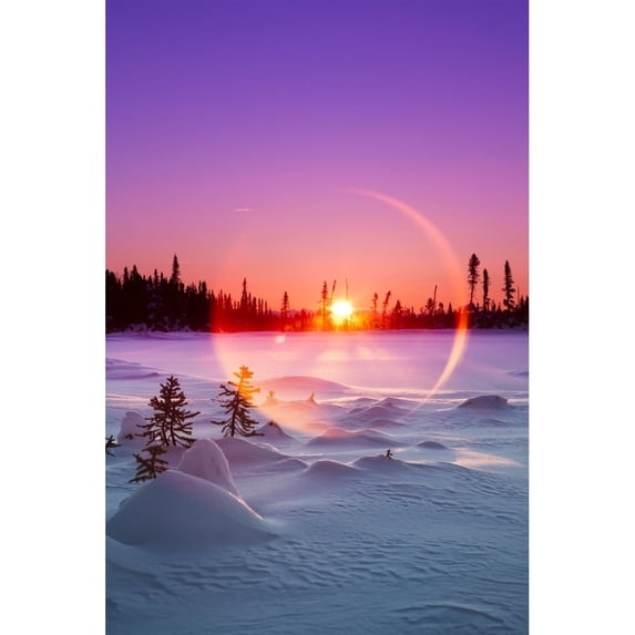 Sun flare glowing over a winter landscape; Trapper Creek Alaska United States of America Poster Print by Ed Boudreau /