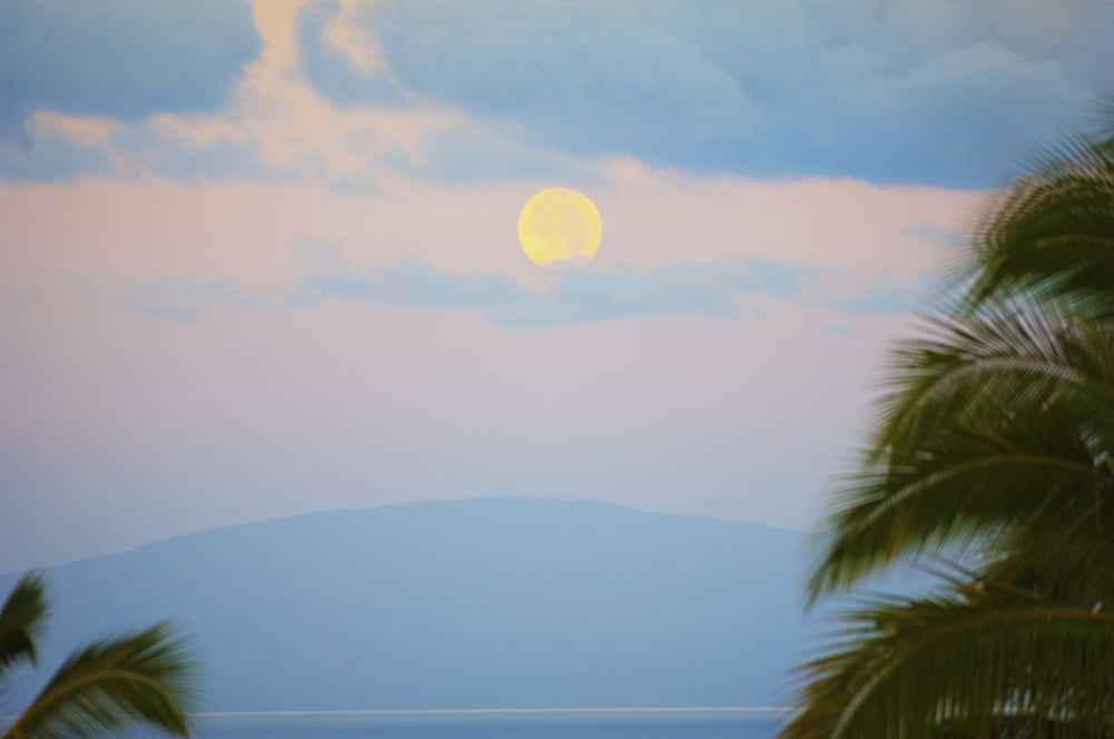 Sun glowing in the sky at sunsetWailea maui hawaii united states of america Canvas Art - Laura Ciapponi Design Pics (38 x 24)