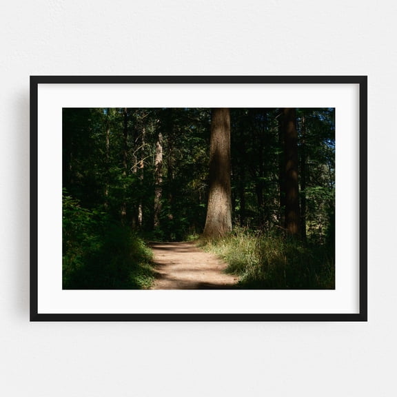 Sun-kissed Trail in Hoyt Arboretum - Portland Oregon Photography Forest Nature Wilderness Woodland Scenic Woods Black Framed Wall Art Print 20 x 30 inches