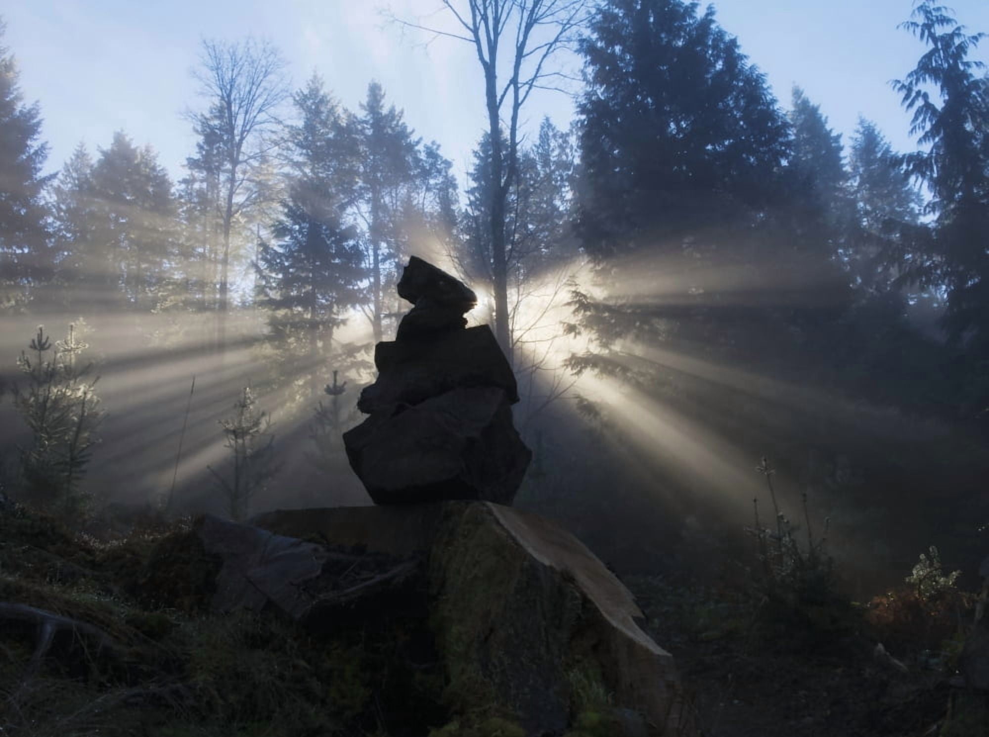 Sun shines through an ishigumi (the arrangement of stones) in fog and forest Vancouver Island British Columbia Canada Canvas Art - Debra Brash Design Pics (34 x 26)