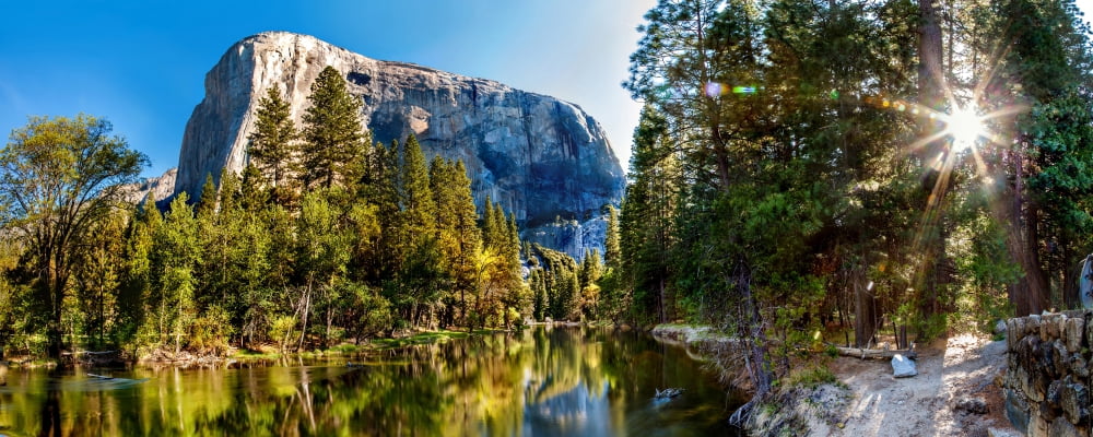 Sun shining through trees in a forest Yosemite National Park California USA Canvas Art - Panoramic Images (6 x 15)