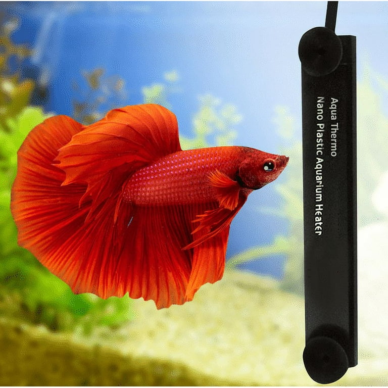 betta fish accessories - Pet Central Limited
