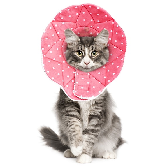 SunGrow Post-Surgery Soft Cone Dog & Cat Recovery Collar, Pink, Medium