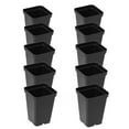 thumbnail image 1 of SUNPACK 2.5" Square Seedling Pot for Indoor Gardening, Black (Pack of 10) - Easy Transplanting of Seedlings and Cuttings, Designed with Drainage Holes - for Healthy Root Growth, 1 of 4