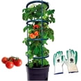 thumbnail image 1 of SunVara Tomato Cages Plant Support Cages 4 Packs Square Steel 13 inch for Garden Cages For Vegetables, 1 of 7