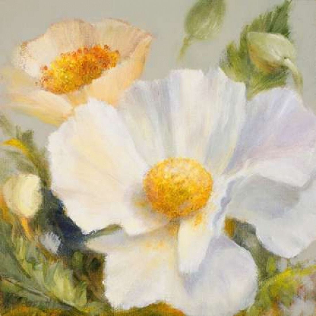 Sunbeam Flowers II Canvas Art - Lanie Loreth (24 x 24)