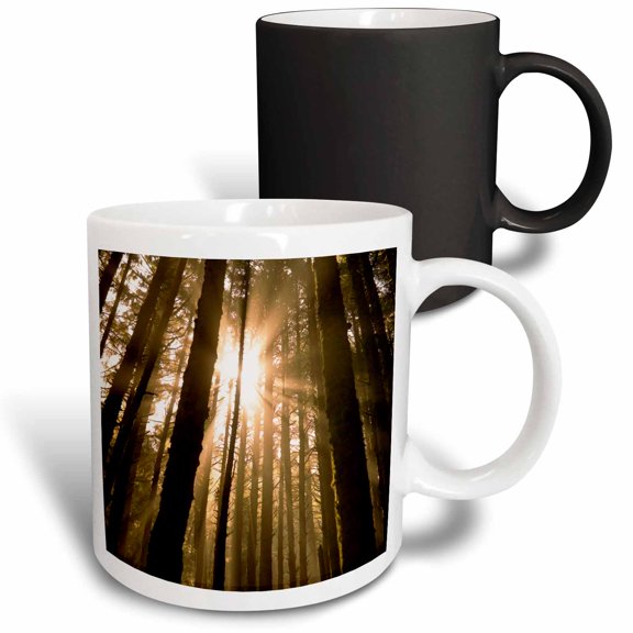 3drose, Sunbeam in Wooded Rainforest, Olympic Np, Wa, Usa, 11oz Magic Transforming Mug