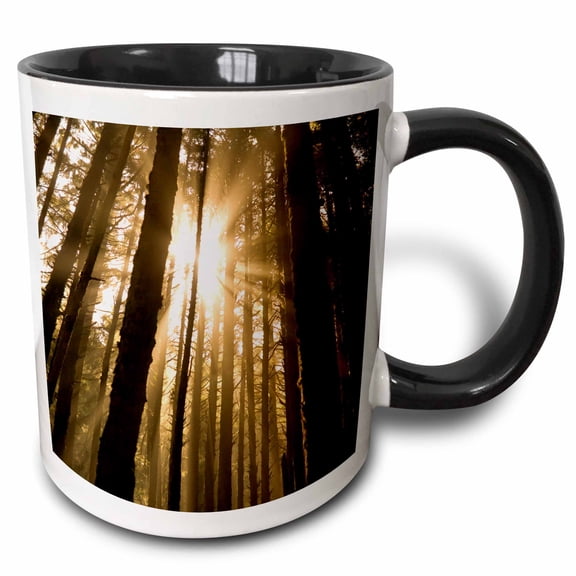 3drose, Sunbeam in Wooded Rainforest, Olympic Np, Wa, Usa, 11oz Two-tone Black Mug