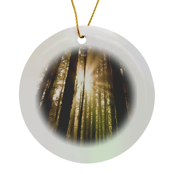3drose, Sunbeam in Wooded Rainforest, Olympic Np, Wa, Usa, Circle Porcelain Ornament