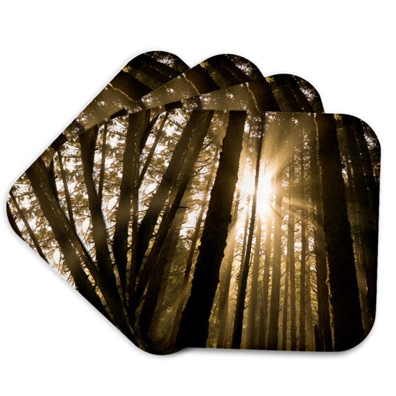 3drose, Sunbeam in Wooded Rainforest, Olympic Np, Wa, Usa, Set of 4 Coasters - Soft