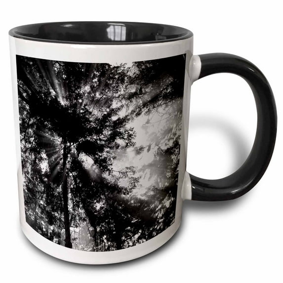 3drose, Sunbeam, Olympic National Park, Washington, Usa - Us48 Aje0073 - Adam Jones, 15oz Two-tone Black Mug