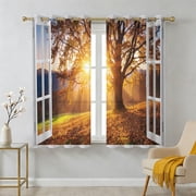 Sunbeam Sheer Curtains 39 Inch Long 2 Panels, Open Window Fall Forest Old Oak Tree Sunburst Light Rustic Light Filtering Semi Sheer Drapes Grommet Voile Window Curtain for Living Bedroom W27.9 x L39