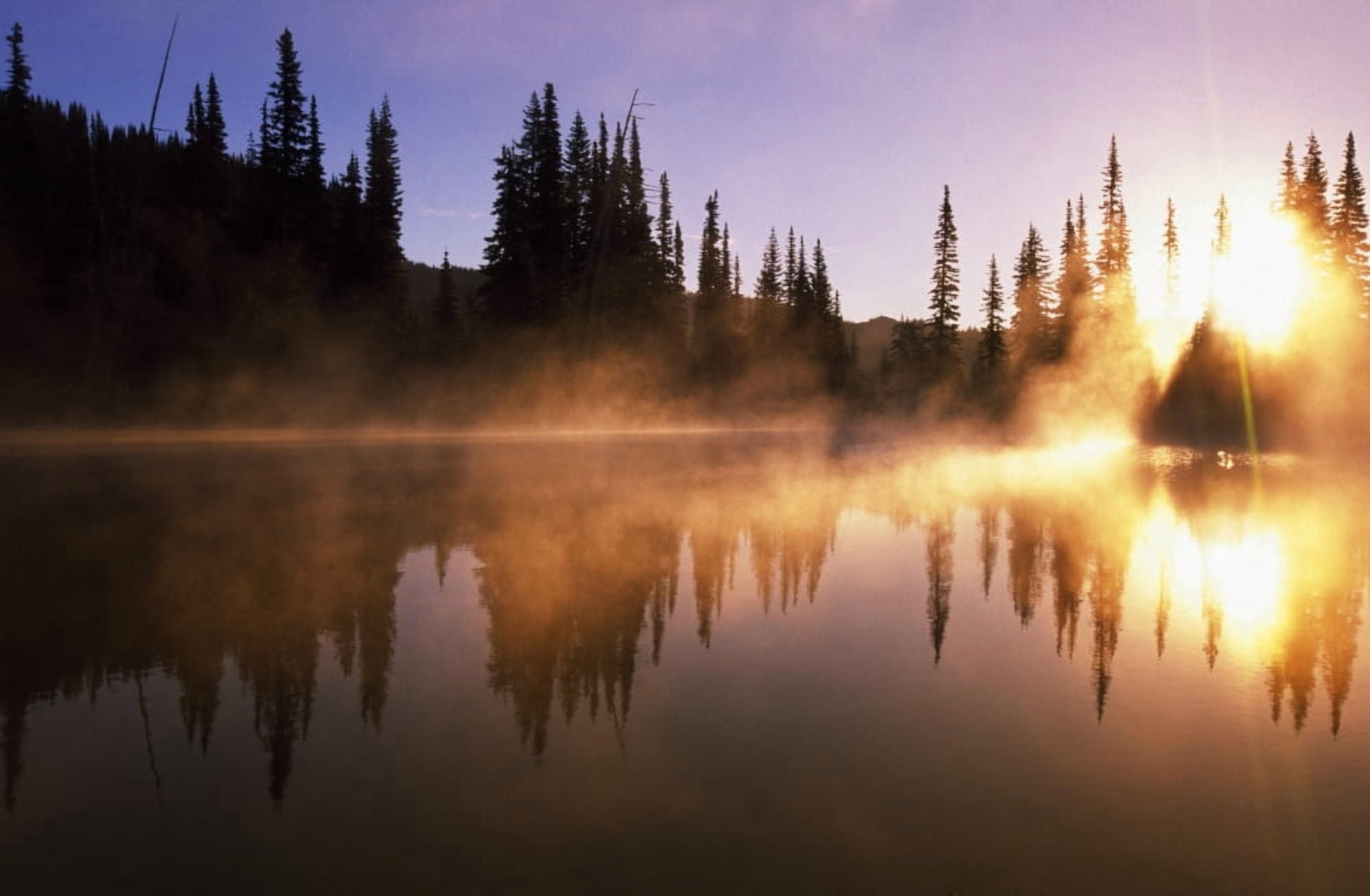 Sunbeams Through Mist On Lake Canvas Art - Natural Selection Craig Tuttle Design Pics (18 x 12)