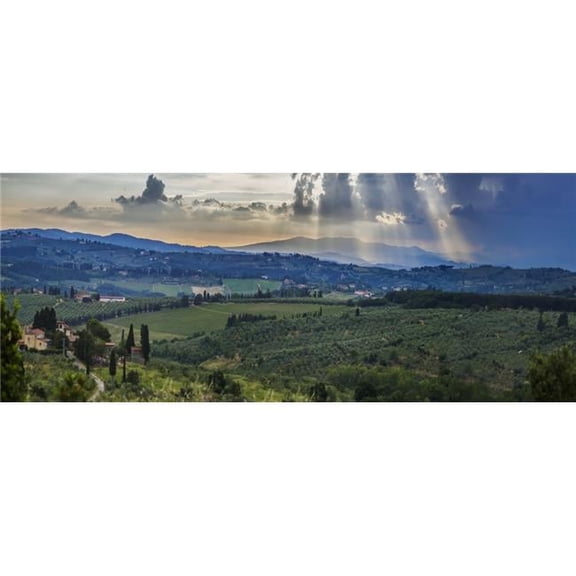 Sunbeams Through The Clouds Over Vineyards - Capanuccia Florence Italy Poster Print - 36 x 14 in. - Large