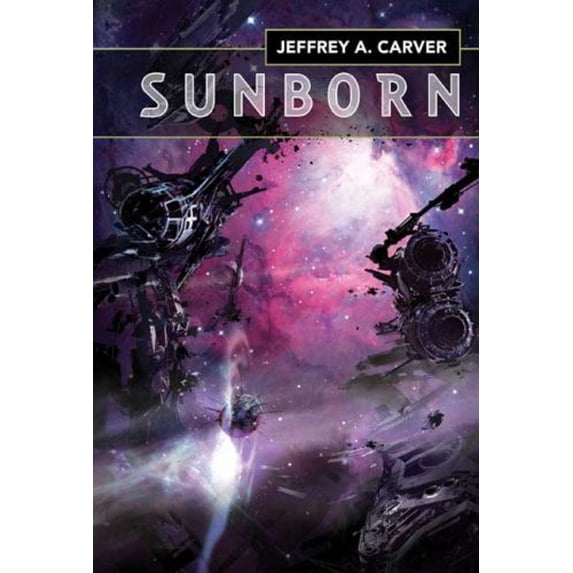 Pre-Owned Sunborn (Hardcover) 0312864531 9780312864538