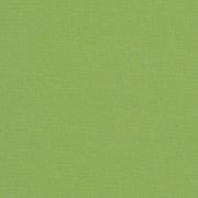 Sunbrella Canvas Ginkgo 54011-0000 Indoor/Outdoor Upholstery Fabric By The Yard