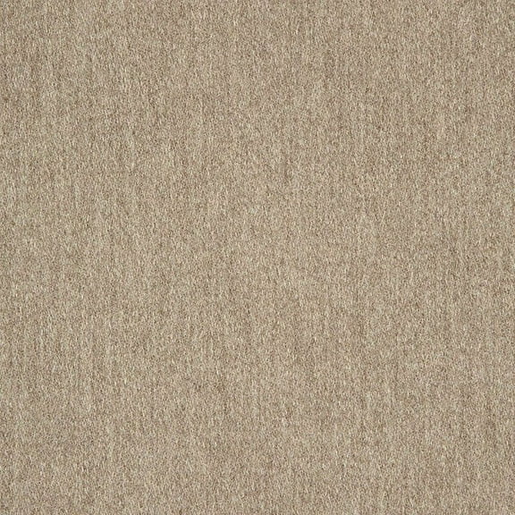 Sunbrella Pashmina Alpaca 40501-0012 Indoor Outdoor Upholstery Fabric by the Yard