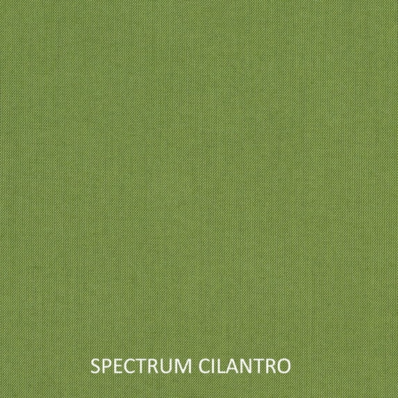 Sunbrella Sorra Home  Indoor/Outdoor Corded Lumbar Pillow, Set of 2 Green 13 in x 20 in