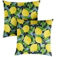thumbnail image 1 of Sunbrella Yellow Lemons Indoor/ Outdoor Pillows (Set of 2) 22 in x 22 in, 1 of 5