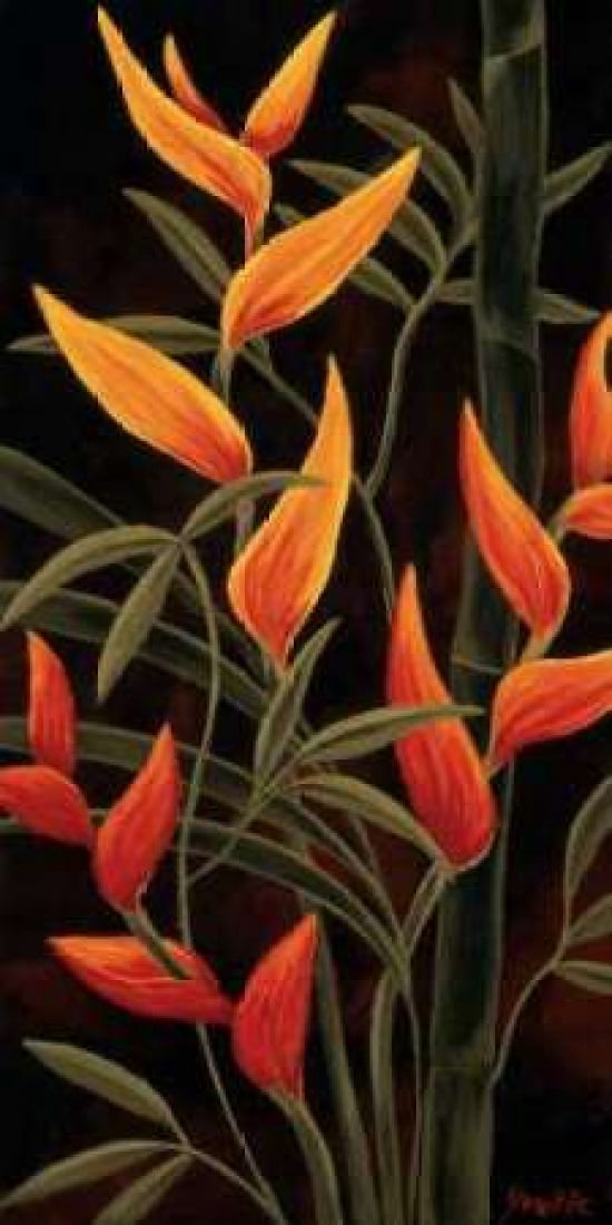 Sunburst Blossoms Canvas Art - Yvette St Amant (24 x 48)