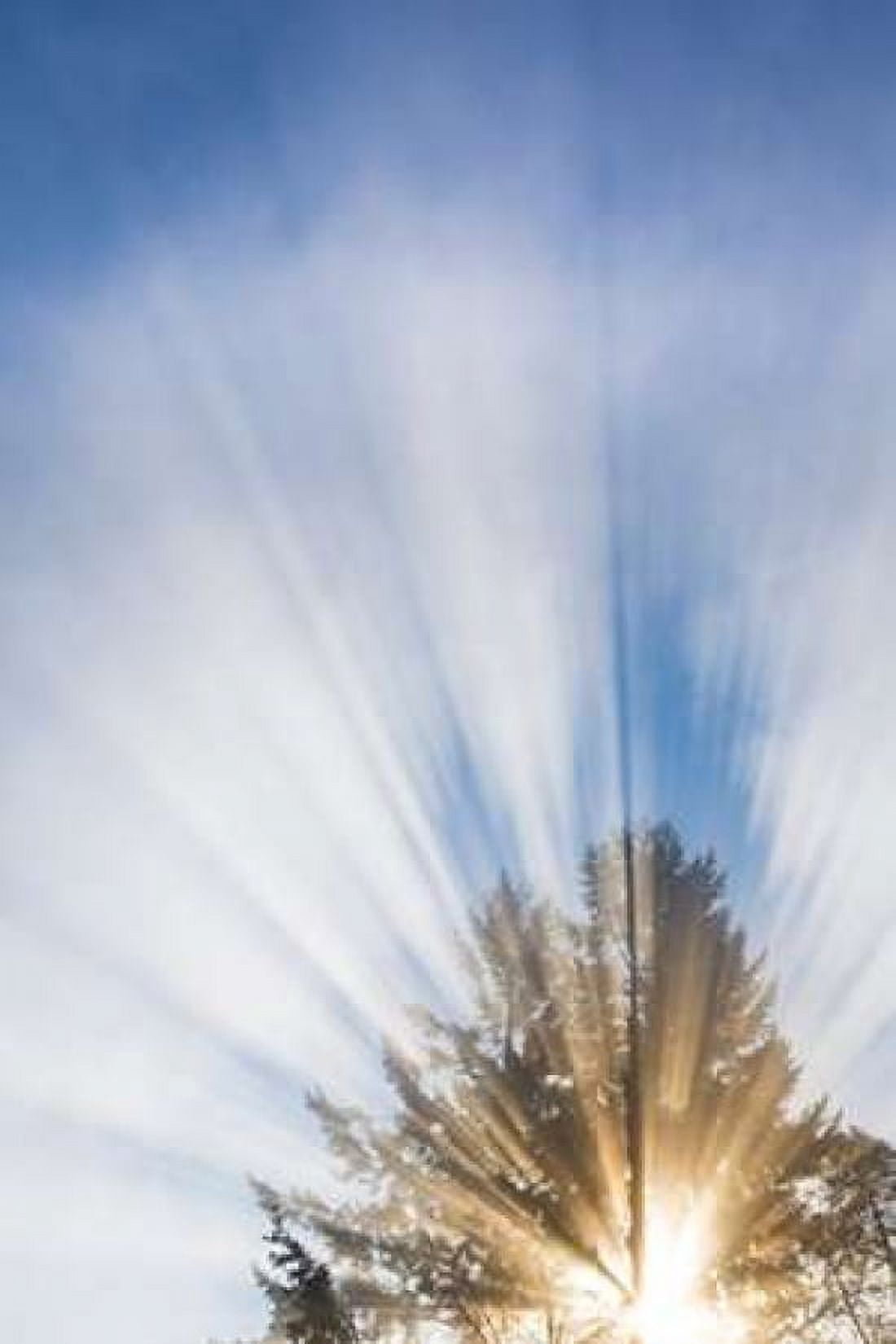Sunburst I Canvas Art - Kathy Mahan (24 x 36)