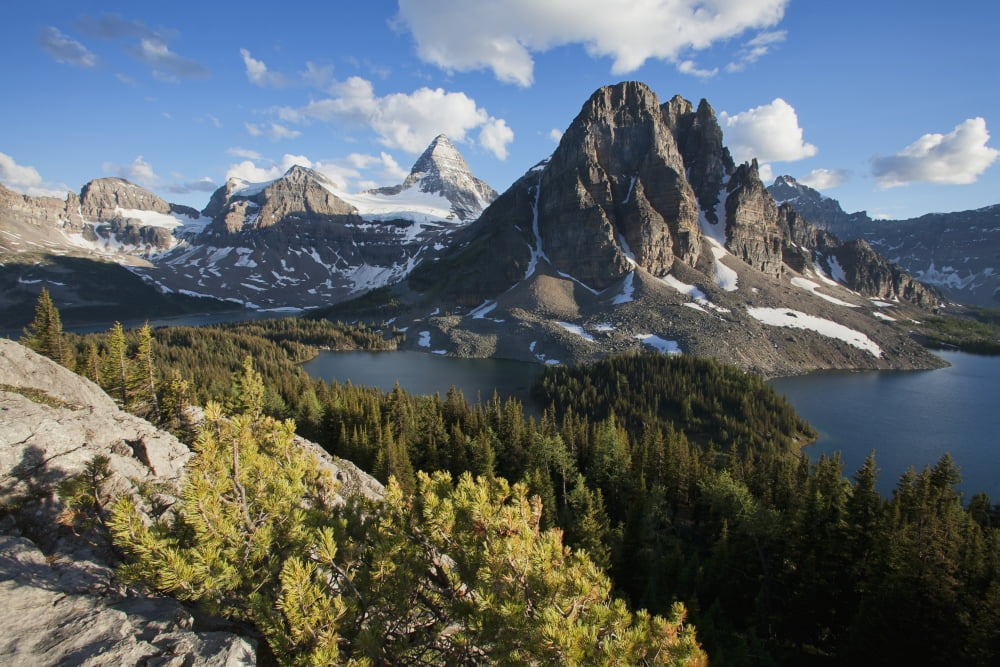 Sunburst Peak and Mount Assiniboine in Mount Assiniboine Provincial Park British Columbia Canada Canvas Art - Carl Bruemmer Design Pics (38 x 24)