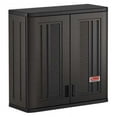 thumbnail interactive-video image 1 of Suncast Commercial Grade Resin 1-Shelf Wall Storage Cabinet for Garage or Shed, Black, 1 of 6