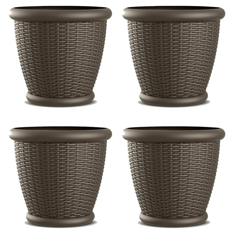 small plant saucer Balter Pot and Saucer 3.5" Pot / Grey Leaves