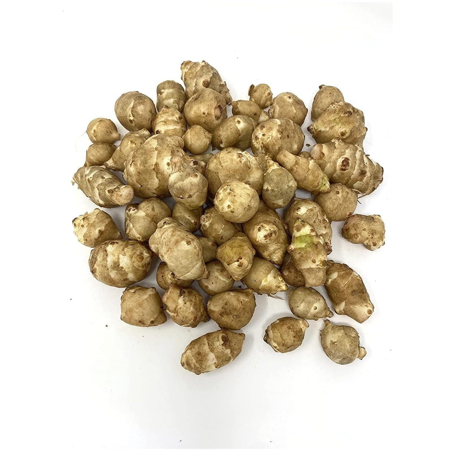 Sunchokes by HElectQRIN 6 Live Jerusalem Artichoke Tubers Sunchoke