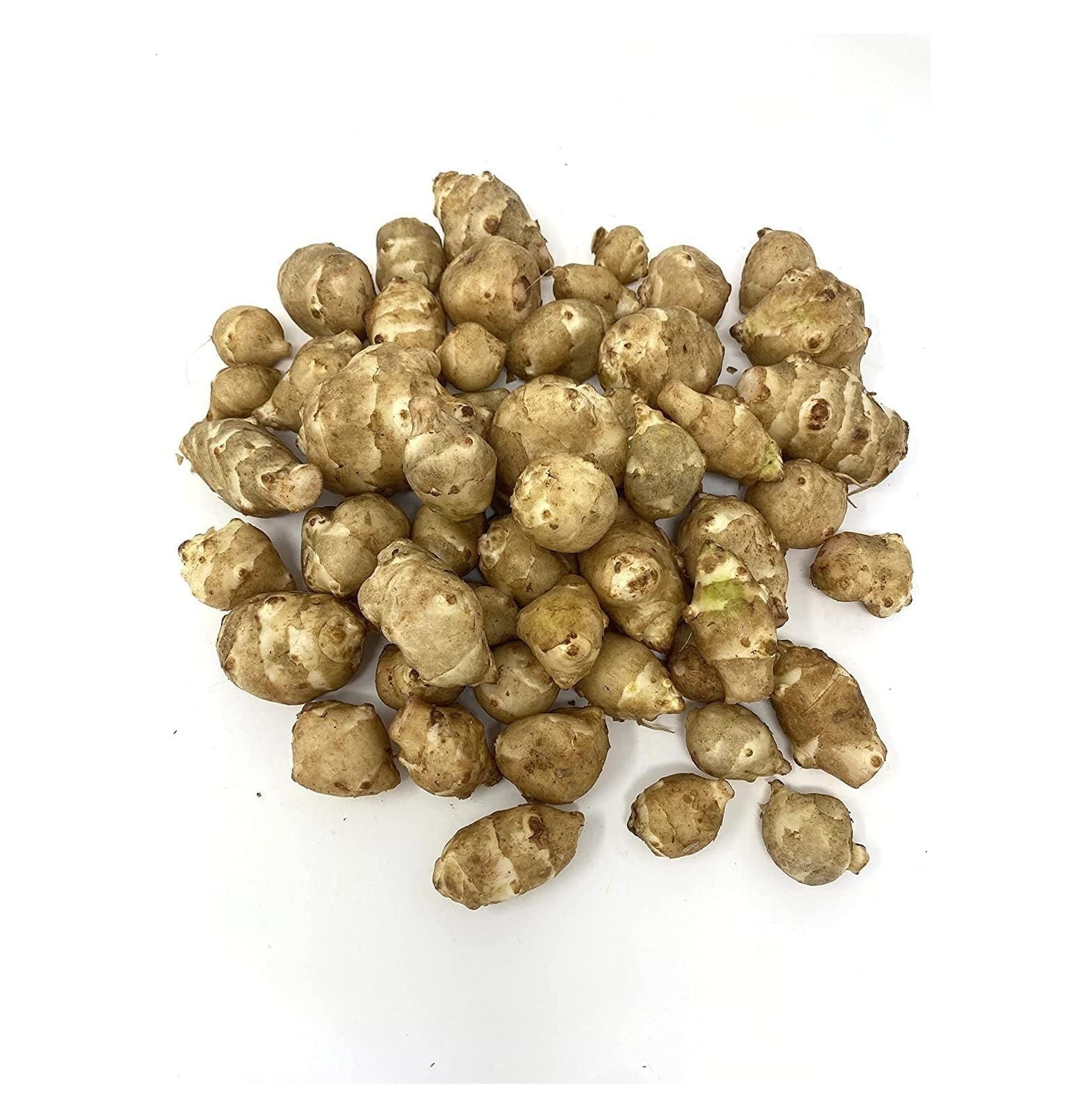 Sunchokes by KYTVOLON 6 Live Jerusalem Artichoke Tubers Sunchoke