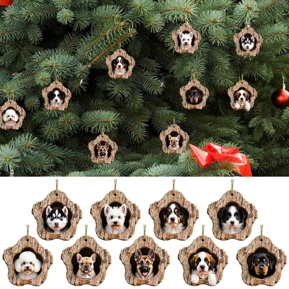 Suncoda Christmas Ornaments, Acrylic Christmas Tree Decorations Christmas Tree Hole Pendant, Christmas Decoration for Xmas Tree, Holiday, Wedding, Party