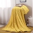 thumbnail image 1 of Suncoda Soft Blanket Soft Throw Blanket 70x100cm Super Soft Warm Solid Warm Micro Plush Fleece Blanket Throw Rug Sofa Bedding Fuzzy Blanket, 1 of 4
