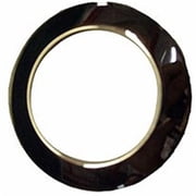 Sundance Spa Stainless Steel Duo & Pulsator Escutcheon Jet