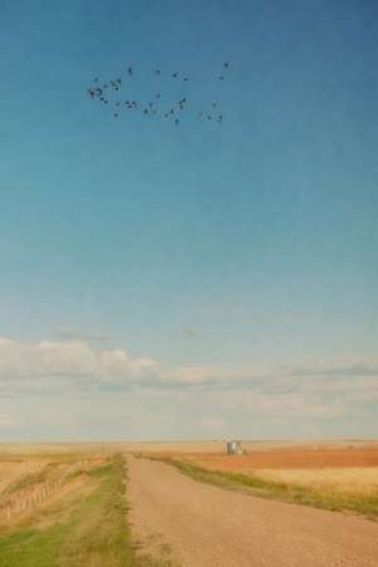 Sunday Drive Canvas Art - Roberta Murray (20 x 28)