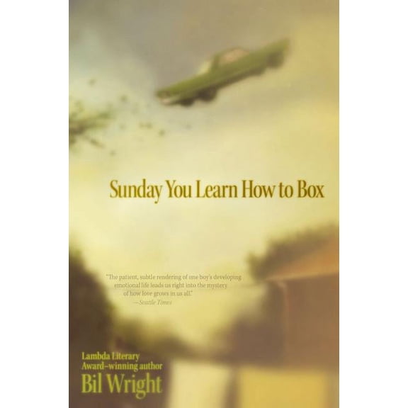 Sunday You Learn How to Box (Paperback)