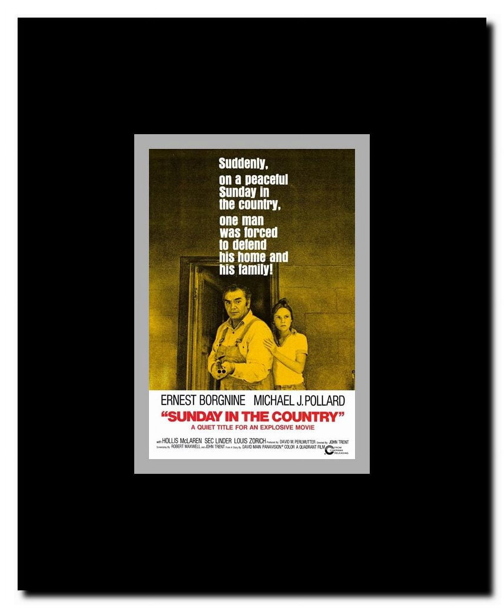 Sunday in the Country Framed Movie Poster