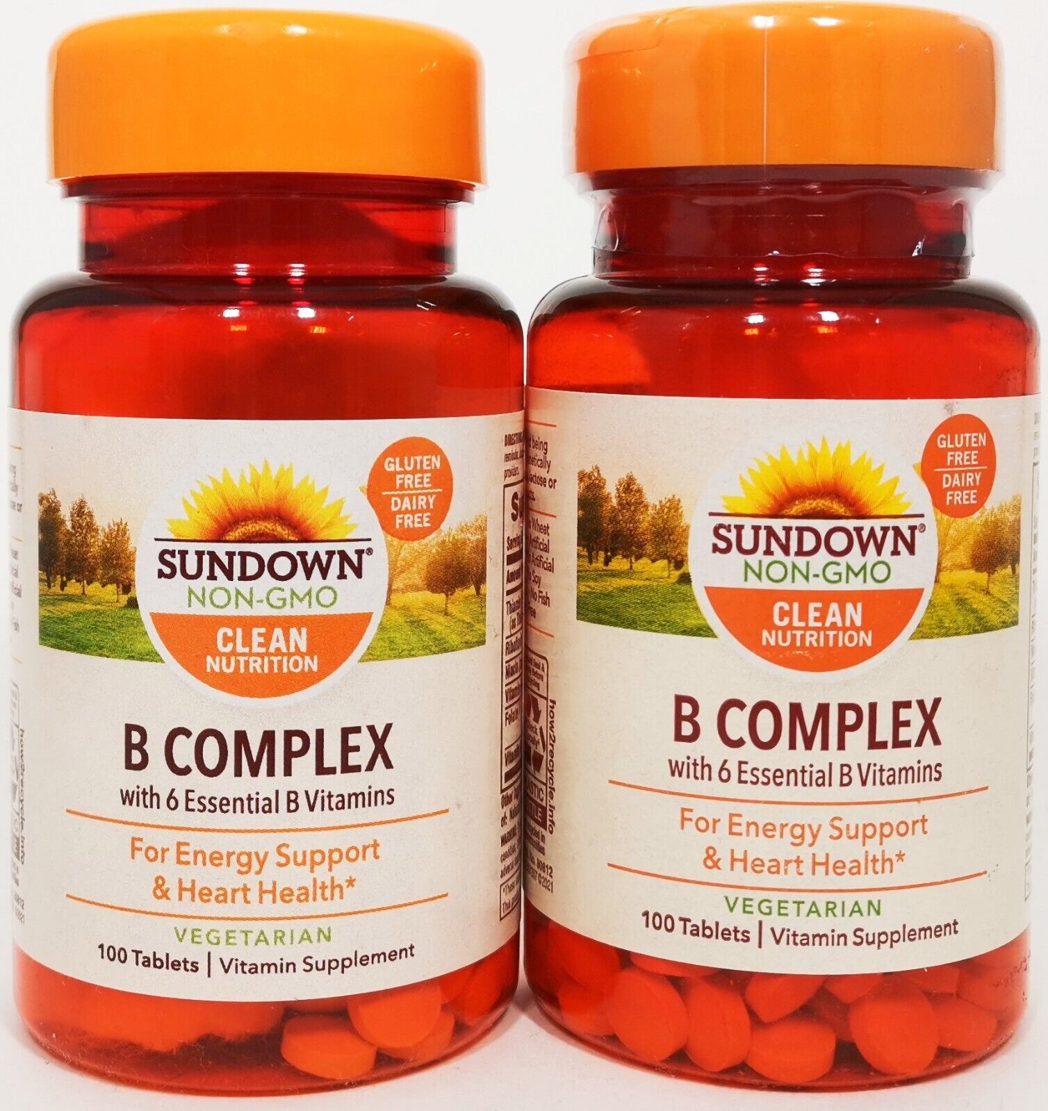Sundown Naturals B Complex vitamin supplement 100 tablets Pack of 2
