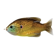 Sunfish Hollow Body