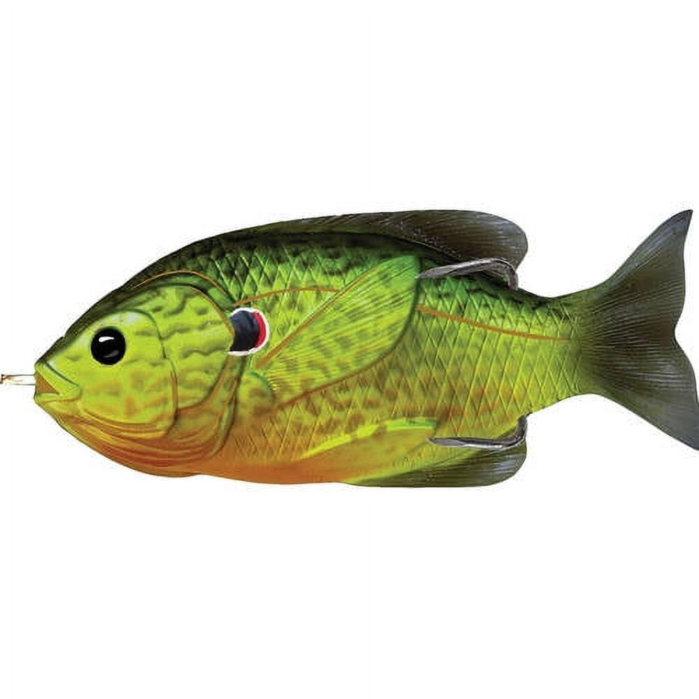 Sunfish Hollow Body